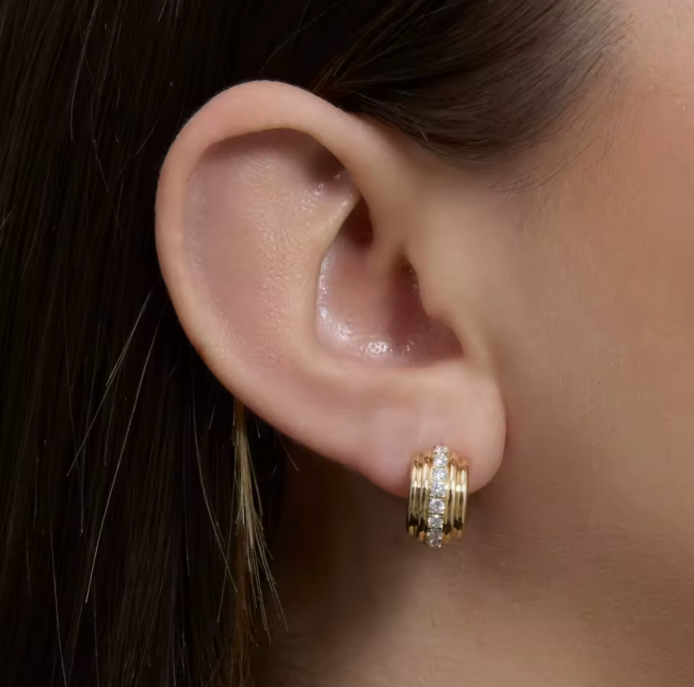 Multi-ring Earrings with Zircon Stones | S925